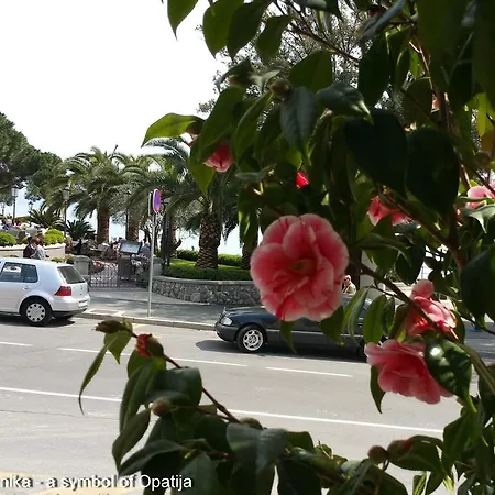 Kamelija Lägenhet Opatija