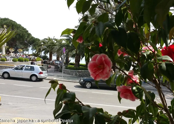 Kamelija Apartment Opatija